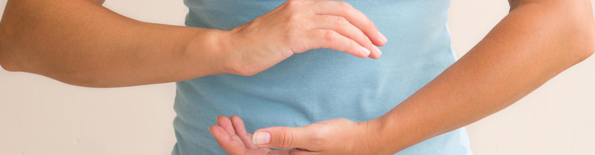 bandeau à la découverte du système digestif