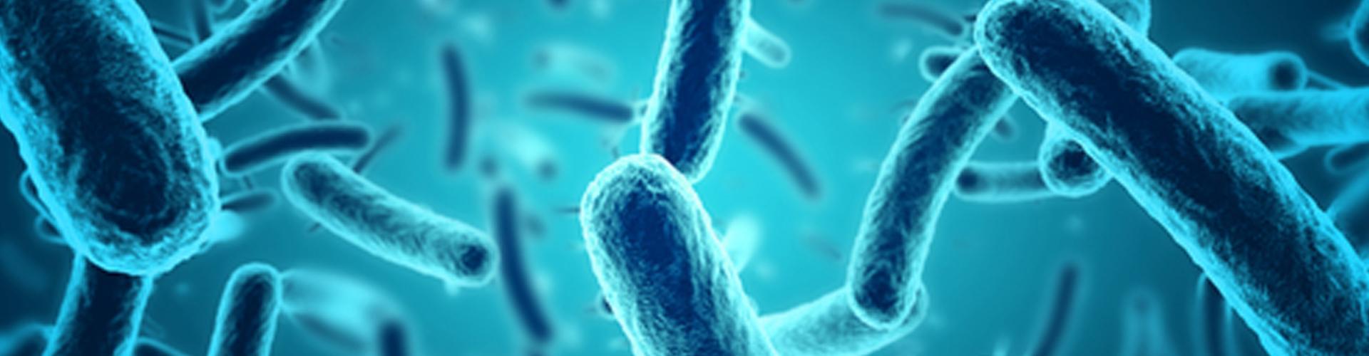bandeau video découvertes récentes sur le microbiote intestinal