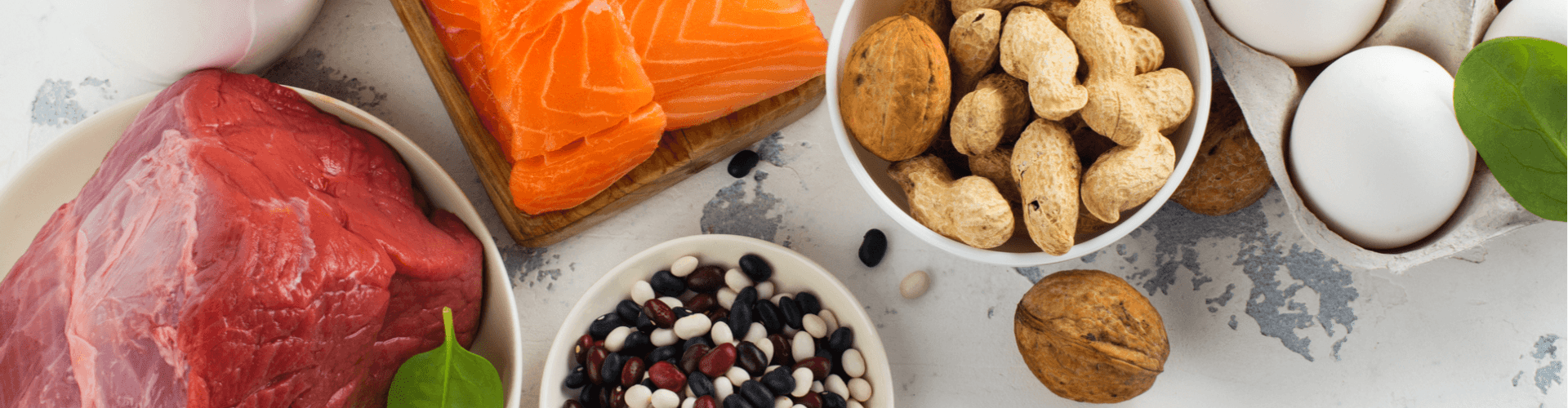 L’intérêt des Protéines (Les bases de la nutrition)