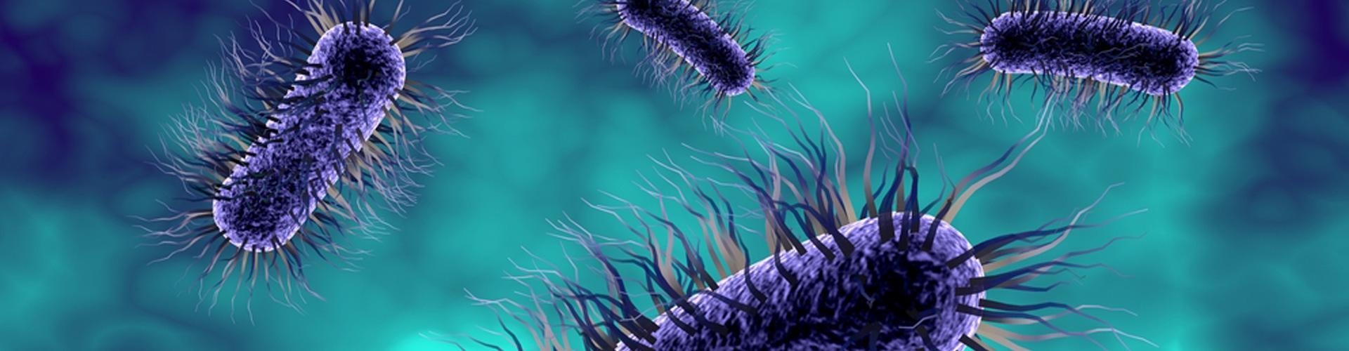 Visuel lutter contre les diarrhées sous antibiotiques