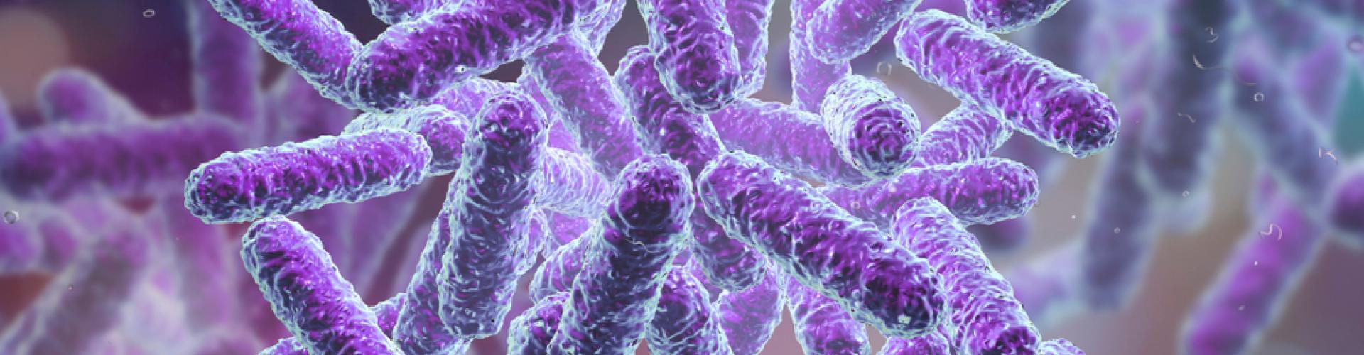 Comment bien choisir ses probiotiques