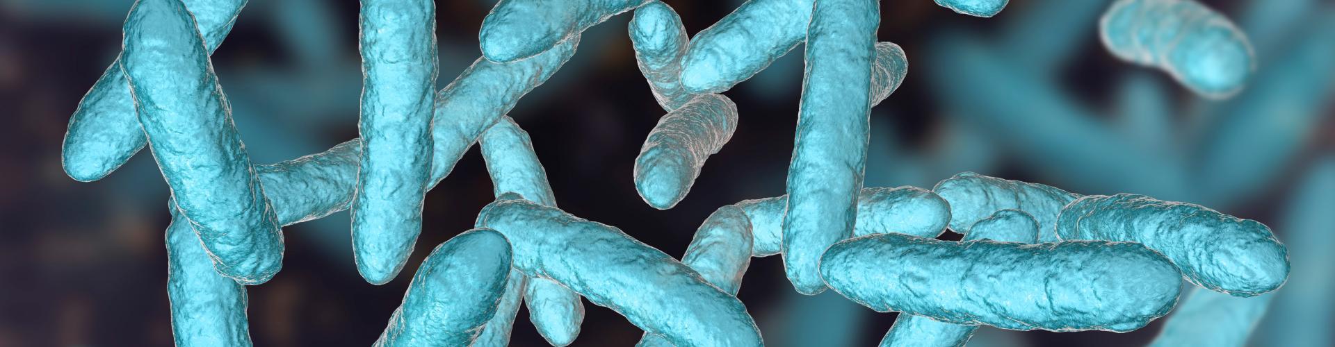 Visuel microbiotes intestinal au coeur des torubles digestifs