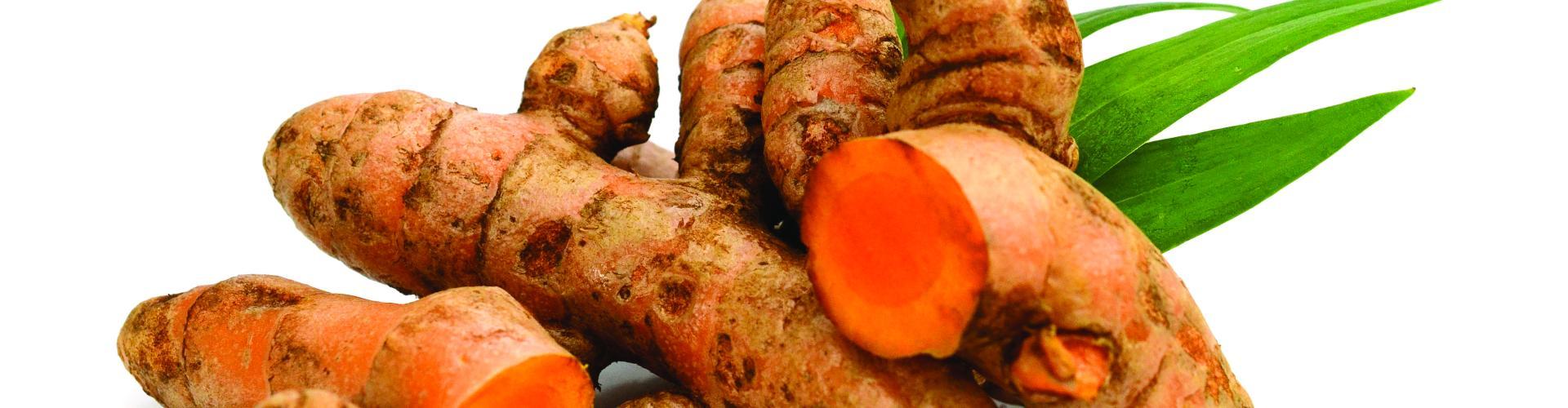 Bandeau - Curcuma
