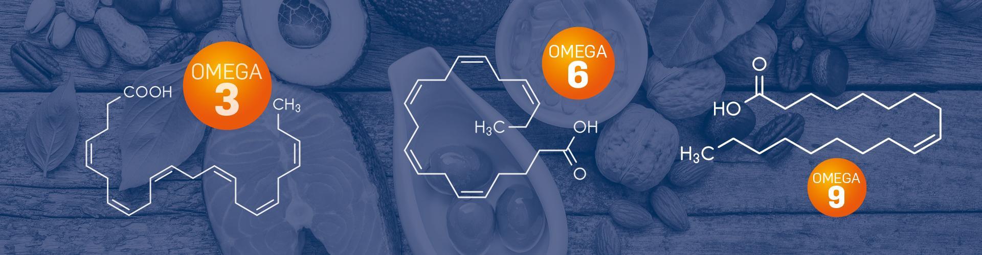 BANDEAU OMEGA 3-6-9