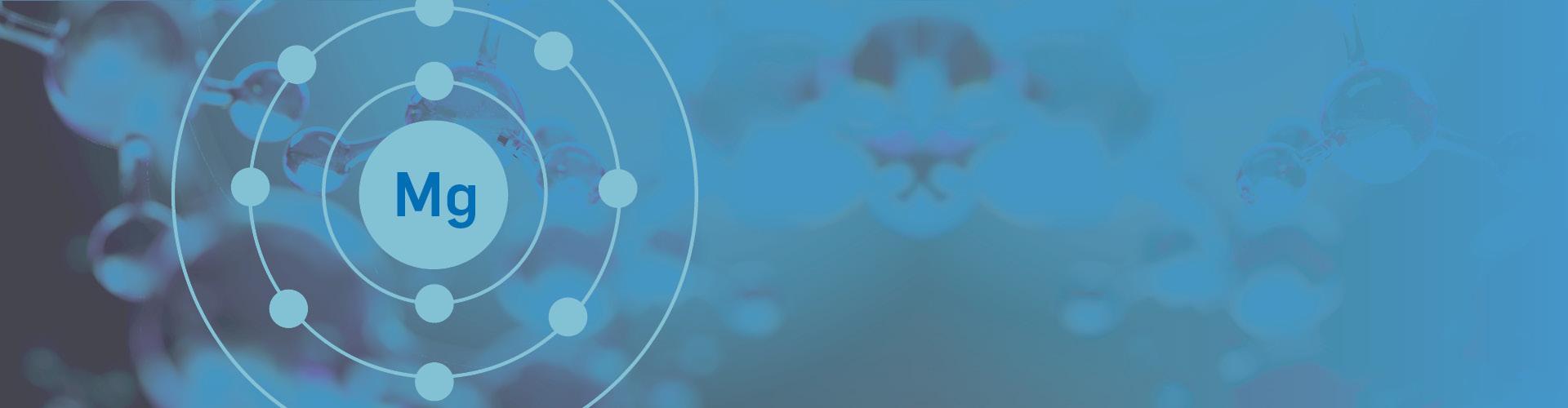 Magnésium