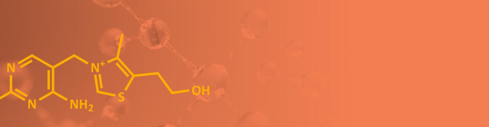 Bandeau Vitamine B1 Vitamine B1