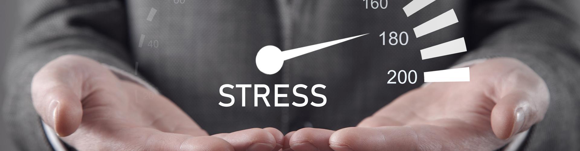stress-echelle