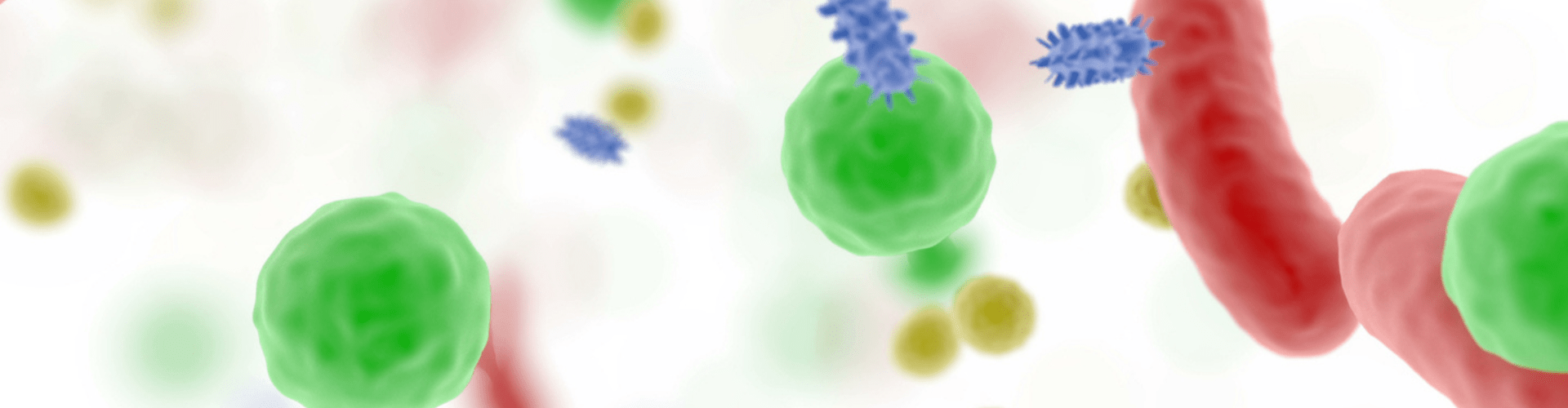 Bandeau comment enrichir son microbiotes