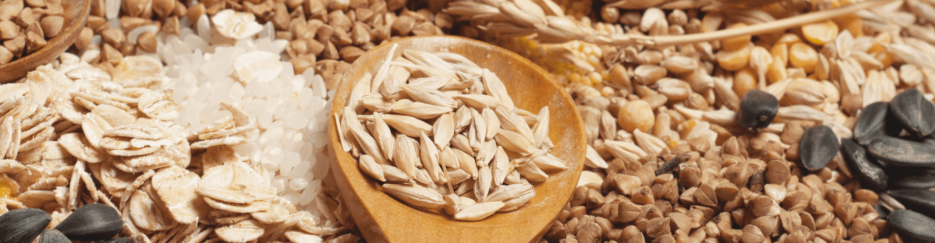 Les bénéfices des céréales complètes