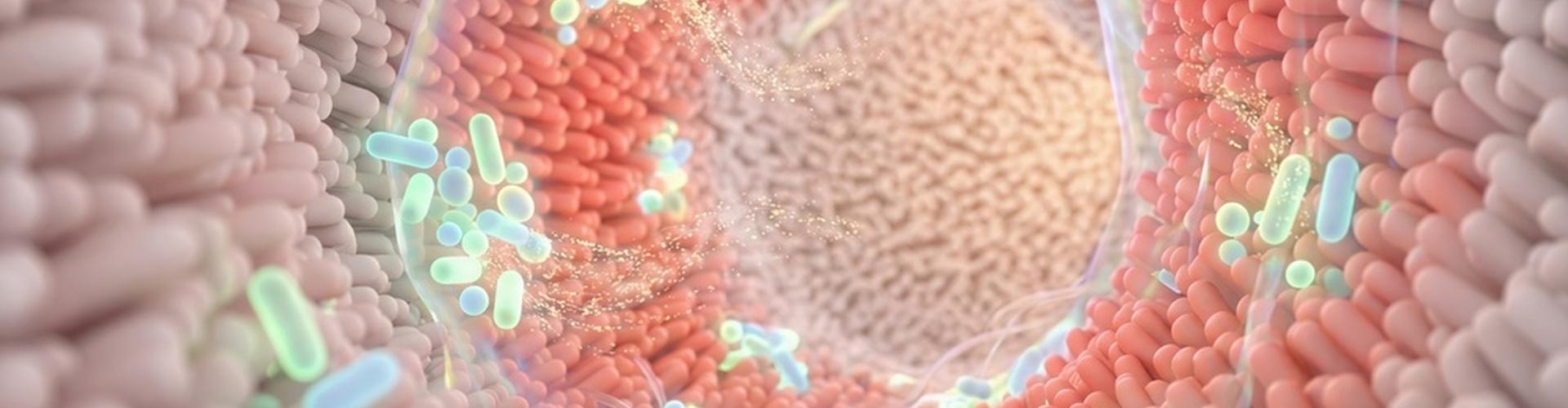  Pourquoi vous êtes-vous intéressé au microbiote