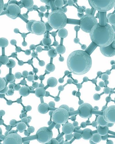 Chaine des protéines