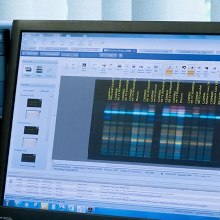 Visuel macro biologie 2 