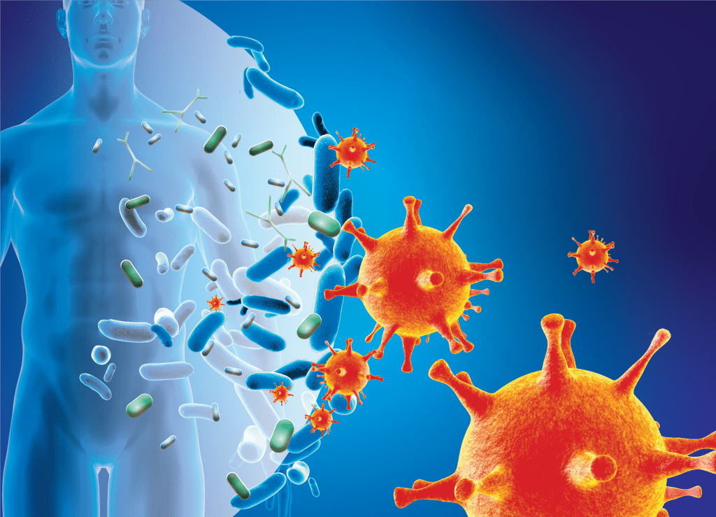 Cover n°14 - La Revue des Microbiotes