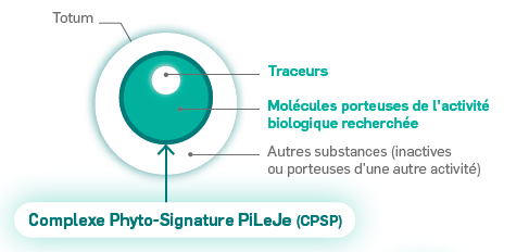 Complexe Phyto Signature PiLeJe