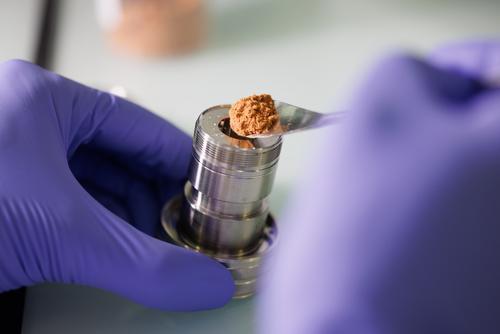 Expertise du Végétal PiLeJe