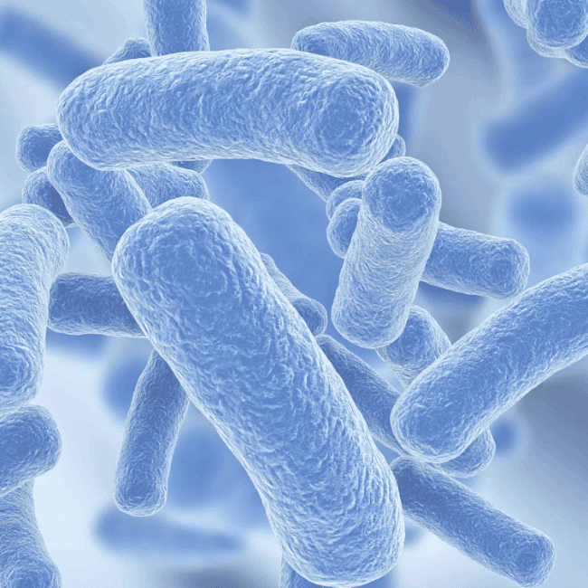 Microbiotes.png