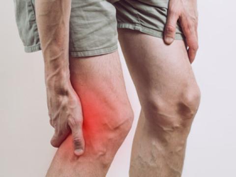 vignette arthrose vignette arthrose