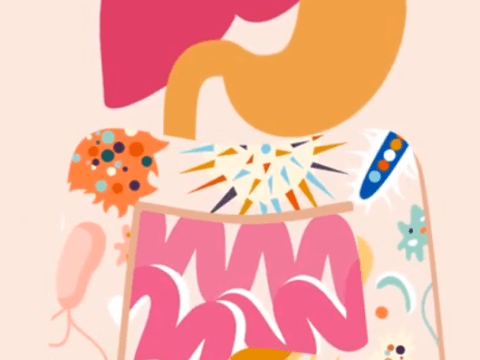 La révolution microbiote est en marche