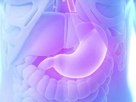 image/jpeg Le rôle du microbiote intestinal