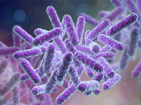 Visuel vignette microbiotes intestinal au coeur des troubles digestifs Visuel vignette microbiotes intestinal au coeur des troubles digestifs