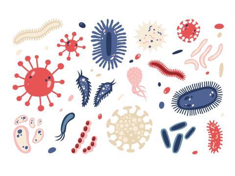 Vignette - Les bénéfices des prébiotiques sur la santé Vignette - Les bénéfices des prébiotiques sur la santé