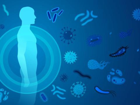 Système immunitaire personnes fragiles