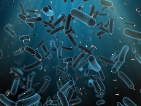 Vignette - Microbiotes, de quoi s'agit-il ?
