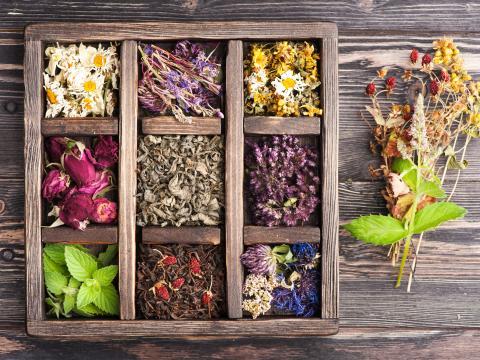 Associations de plantes Associations de plantes