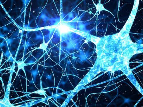 Vignette Neurotransmetteurs Neurotransmetteurs