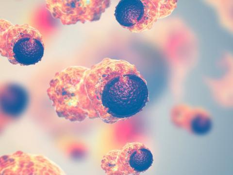 Microbiote et cancer Vignette