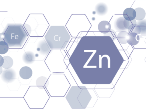 Les bienfaits du zinc