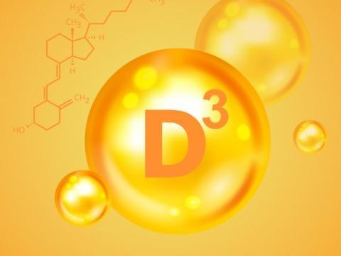 bandeau-vitamine-d.jpg cellule de la vitamine D