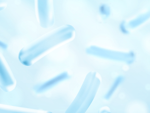 le-microbiotes-ou-les-microbiotes.png image bactéries