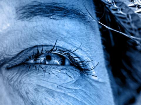 Les expertises de PiLeJe