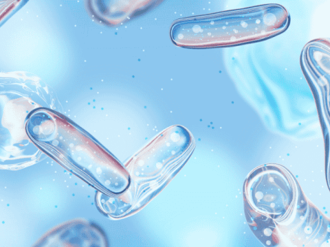 Banniere_idees_recues_probiotiques.png 10 idées reçues sur les probiotiques