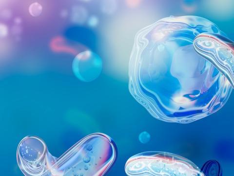 Vignette microbiote intestinal un acteur clé de notre santé