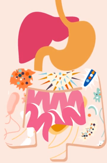 Révolution microbiote - Vignette La révolution microbiote est en marche