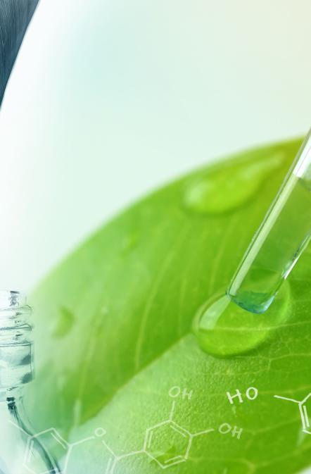 Vignette infections hivernales plantes Soigner les infections hivernales avec les plantes