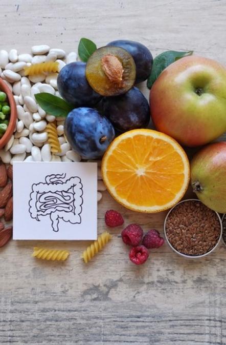 impact du microbiote sur l'alimentation et la santé