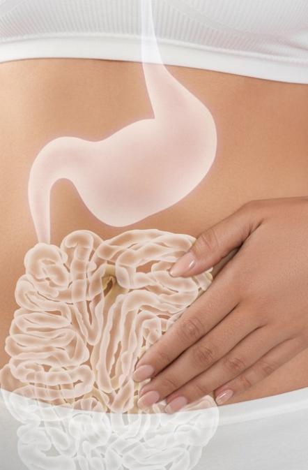 Visuel vignette mieux comprendre le microbiote