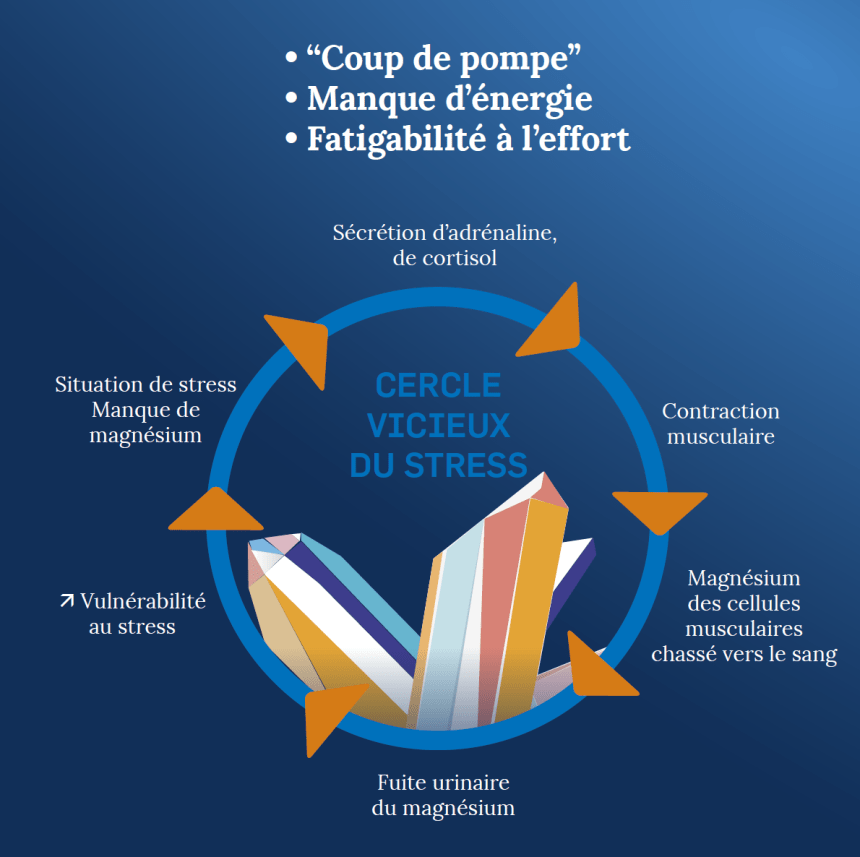 Cercle vicieux stress