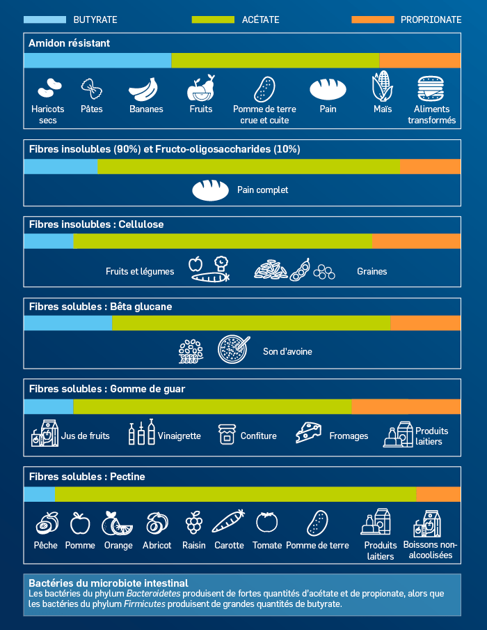 Les bienfaits des fibres alimentaires sur la santé