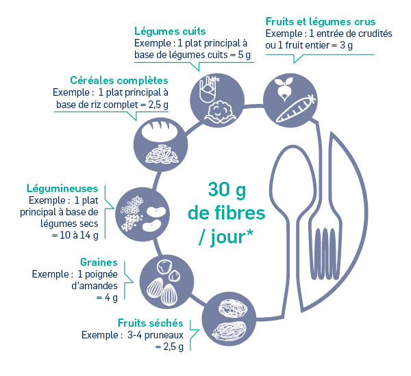 Zoom sur les bienfaits des fibres alimentaires sur l'organisme - ISN