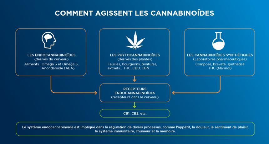 Cannabinoides