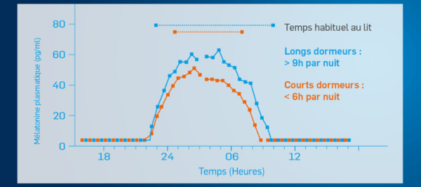 La sécrétion de mélatonine au fil de la nuit