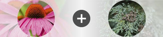 associations Thumbnail