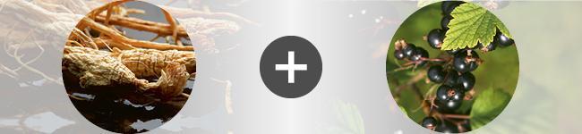 associations Thumbnail