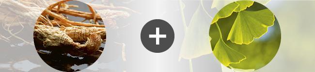 associations Thumbnail