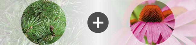 associations
