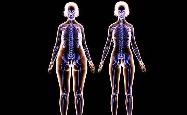 Visuel expertise nutrition
